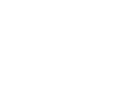 Evolution games at Bit Vegas Casino